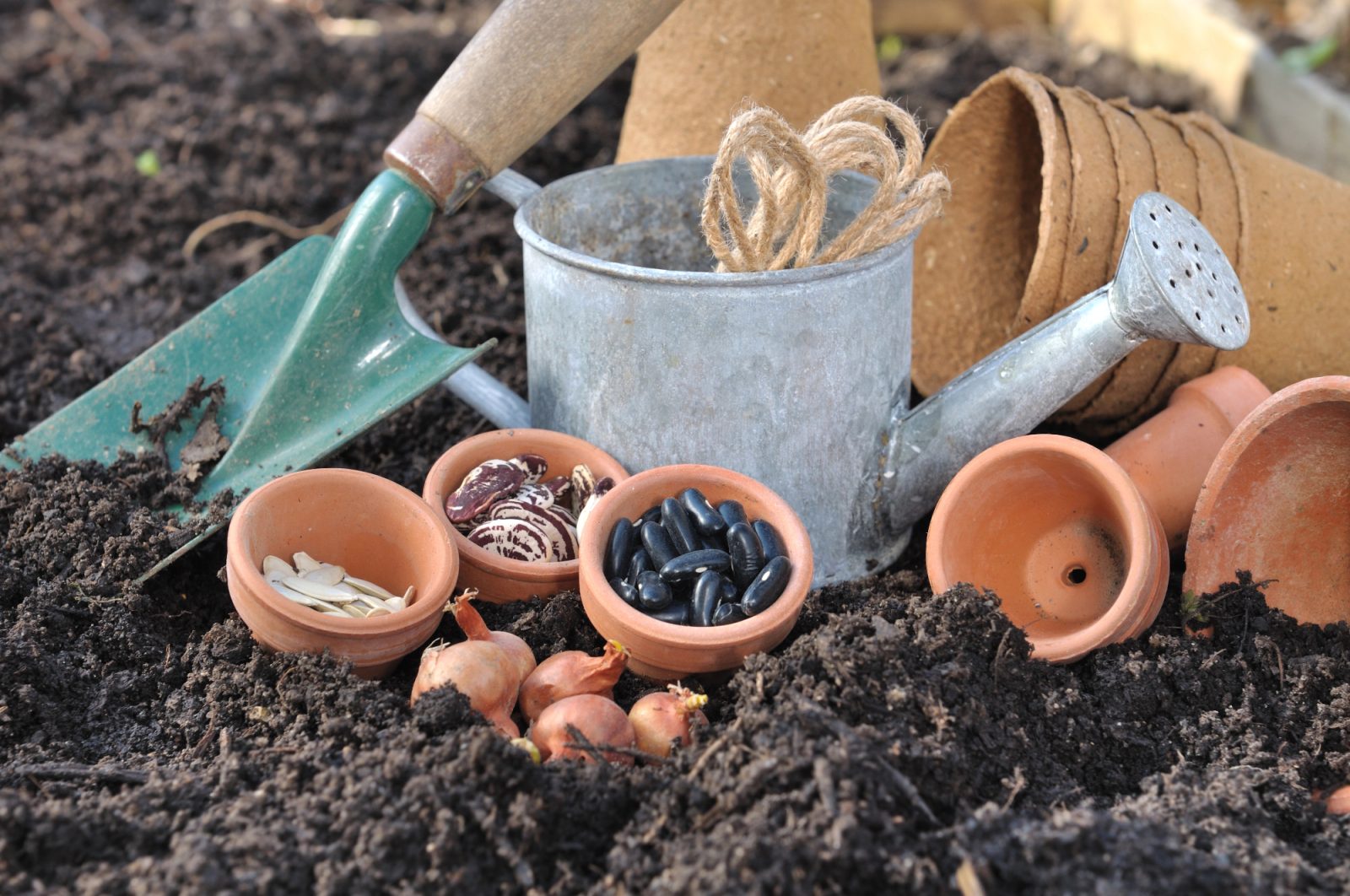 Kako lahko dodatki za vrt polepšajo stik z naravo